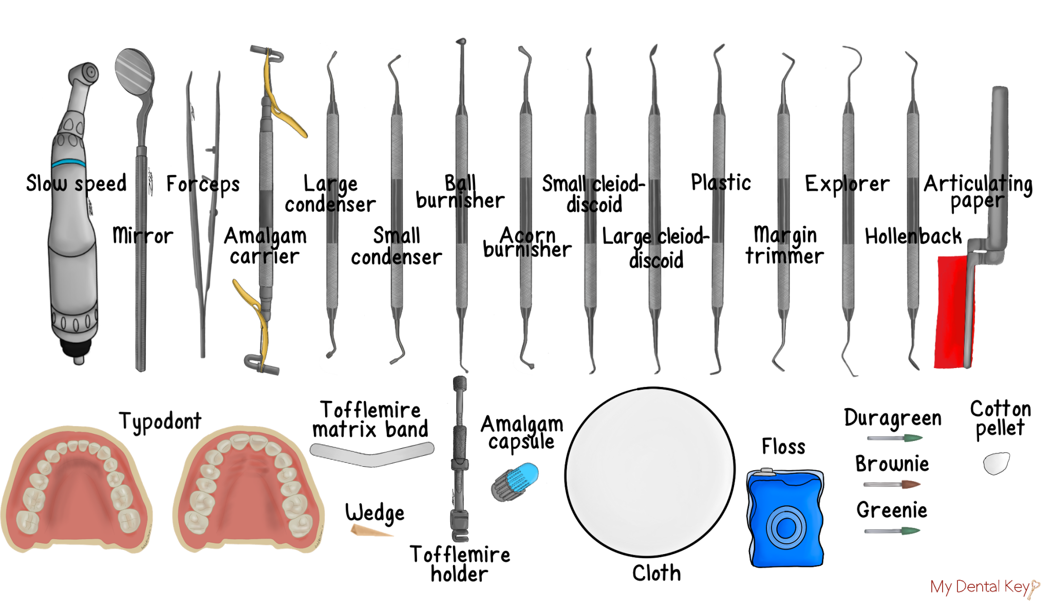 Class II Amalgam Restoration - My Dental Key