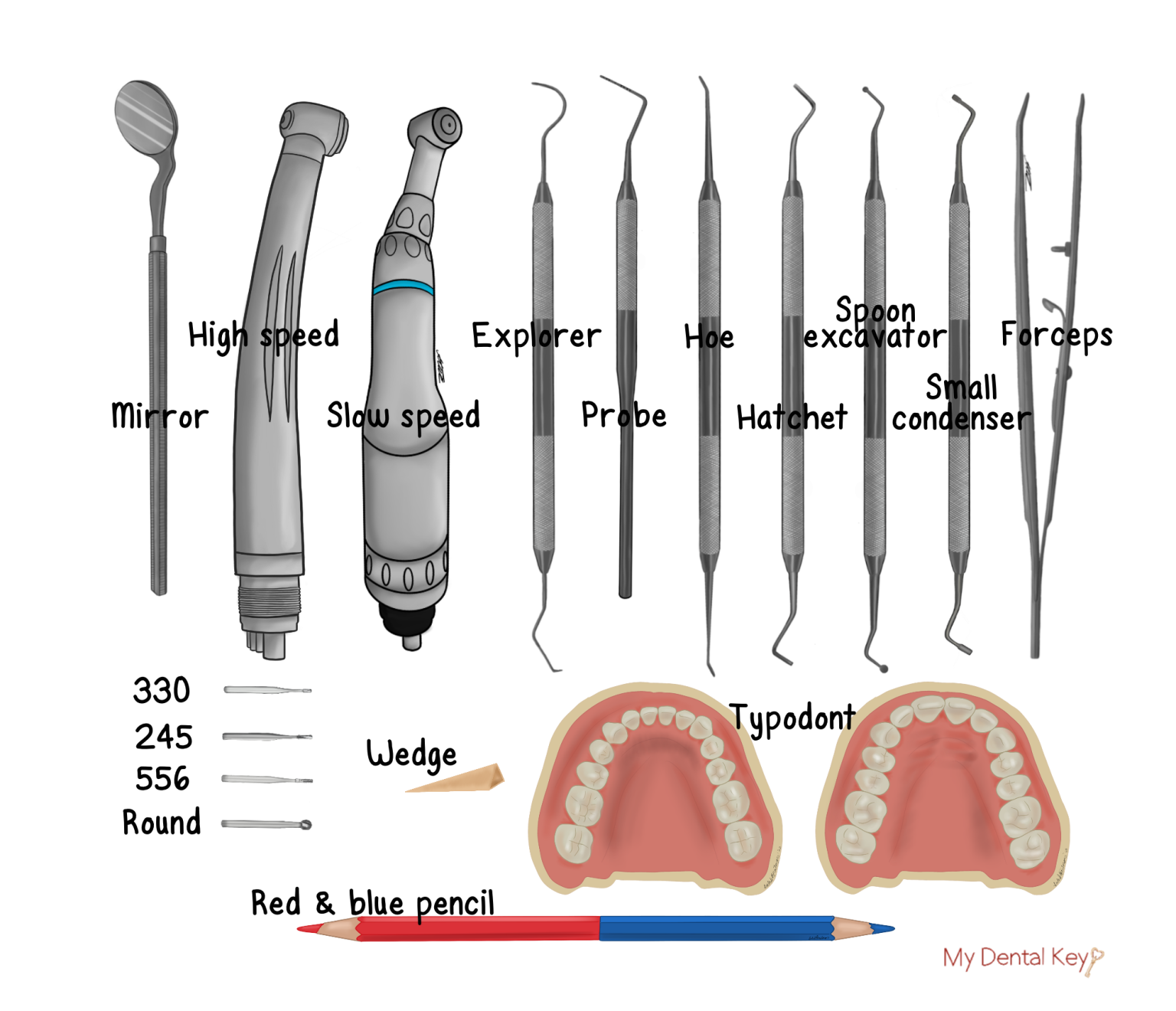Class II Amalgam Preparation - My Dental Key