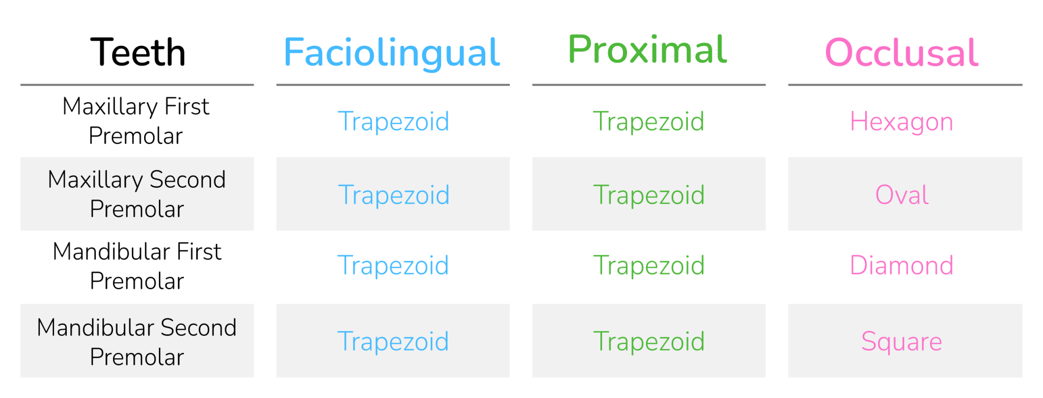 Premolars - My Dental Key