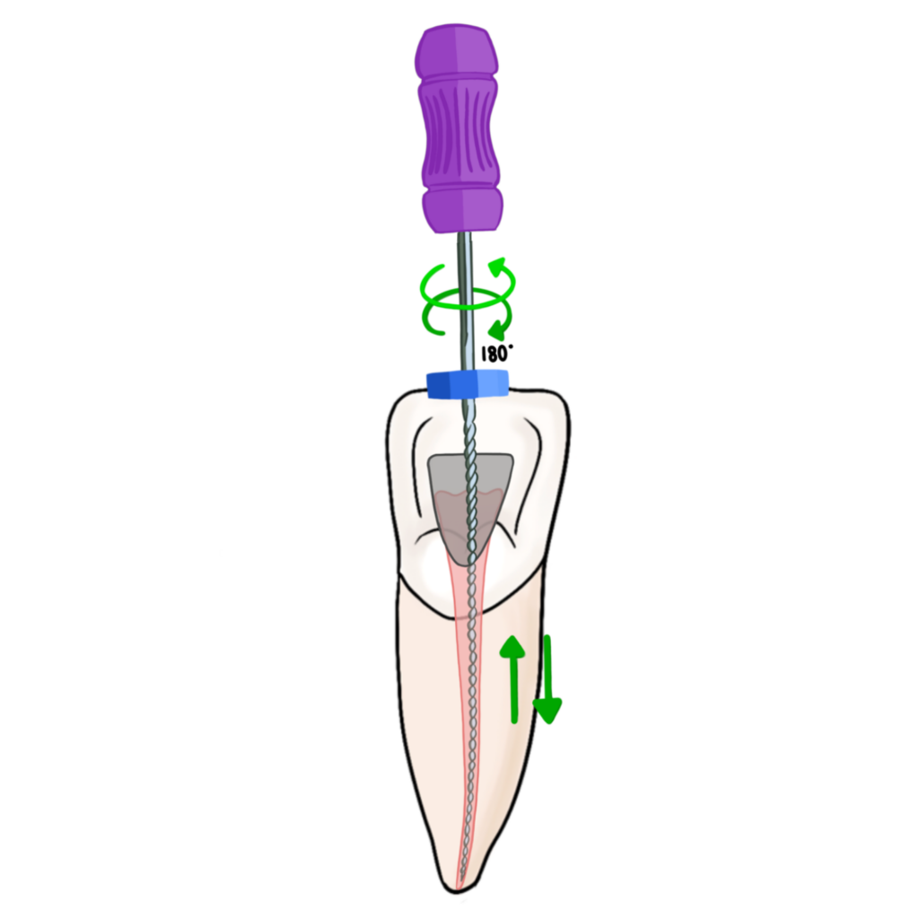 CDCA / ADEX - My Dental Key